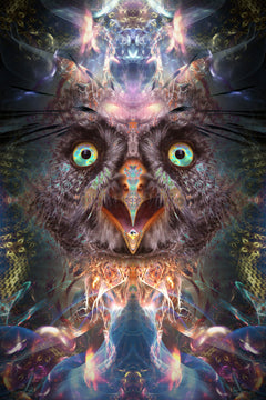 "Complete Awareness" - TAPESTRY