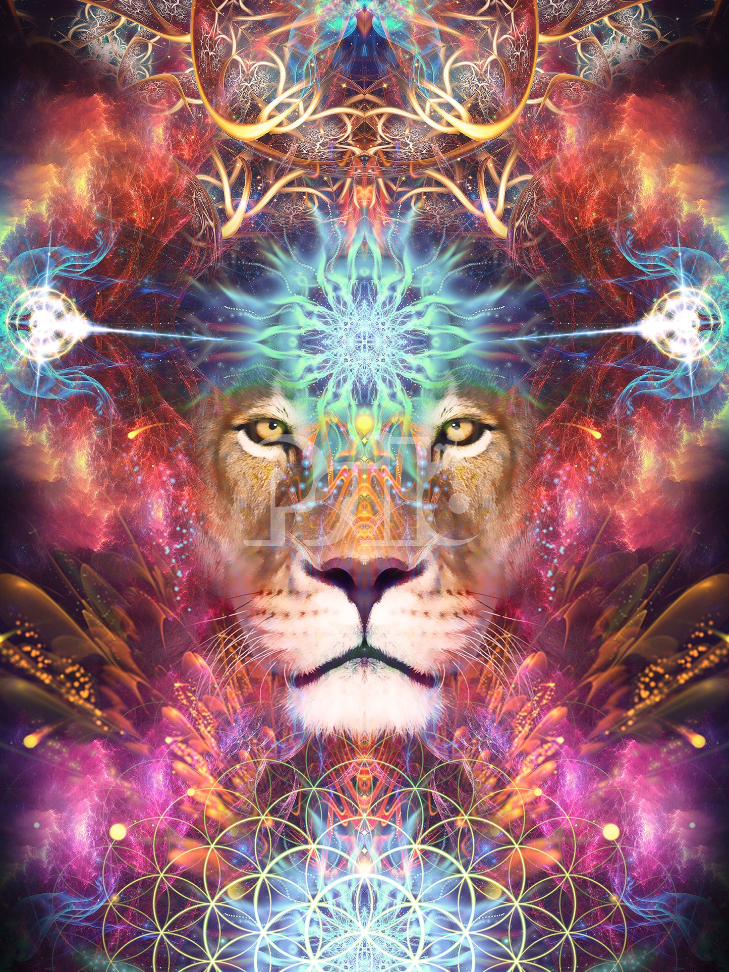 "Genesis" - Lion POSTER