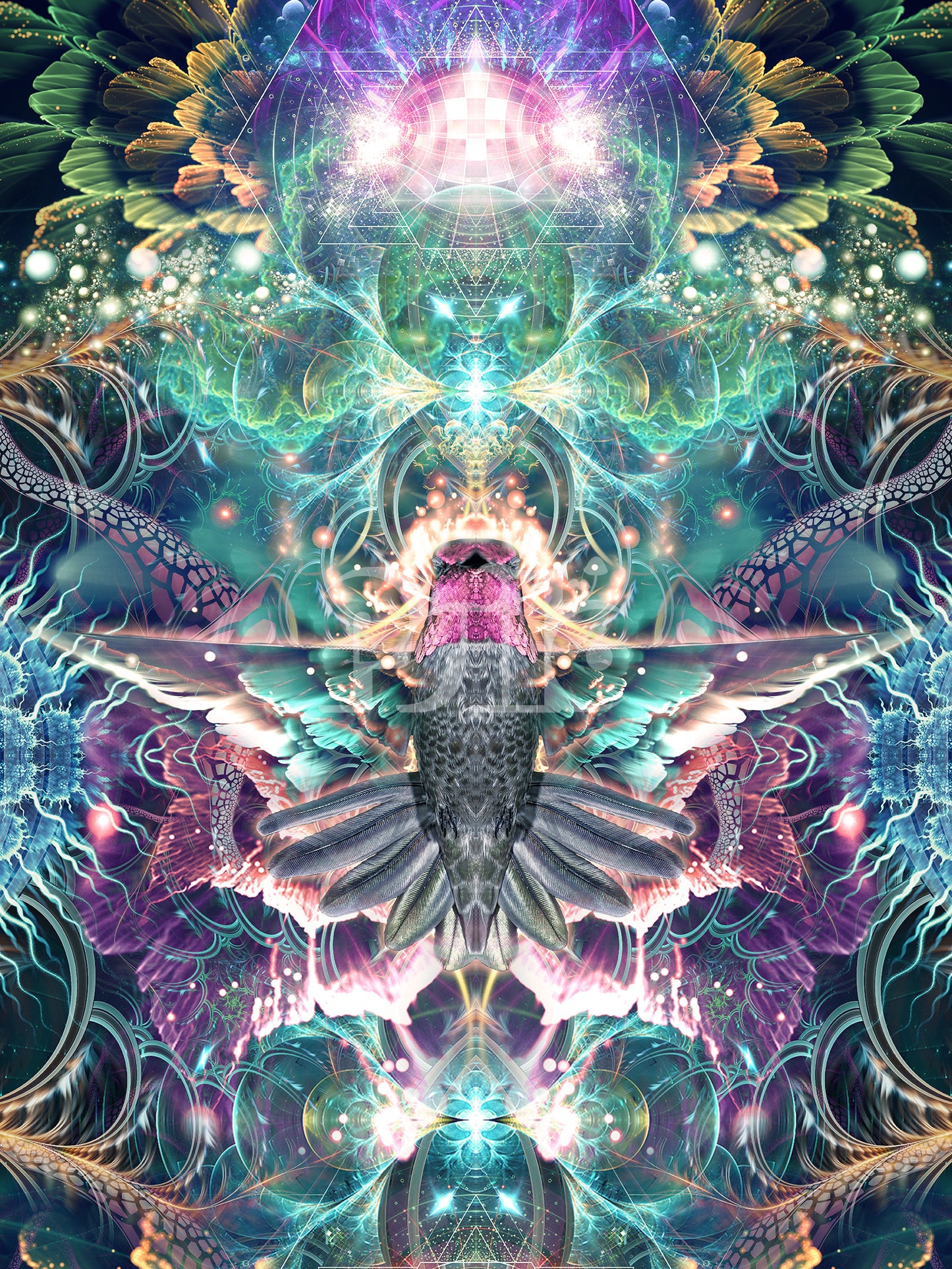 "Nectar" - Hummingbird POSTER