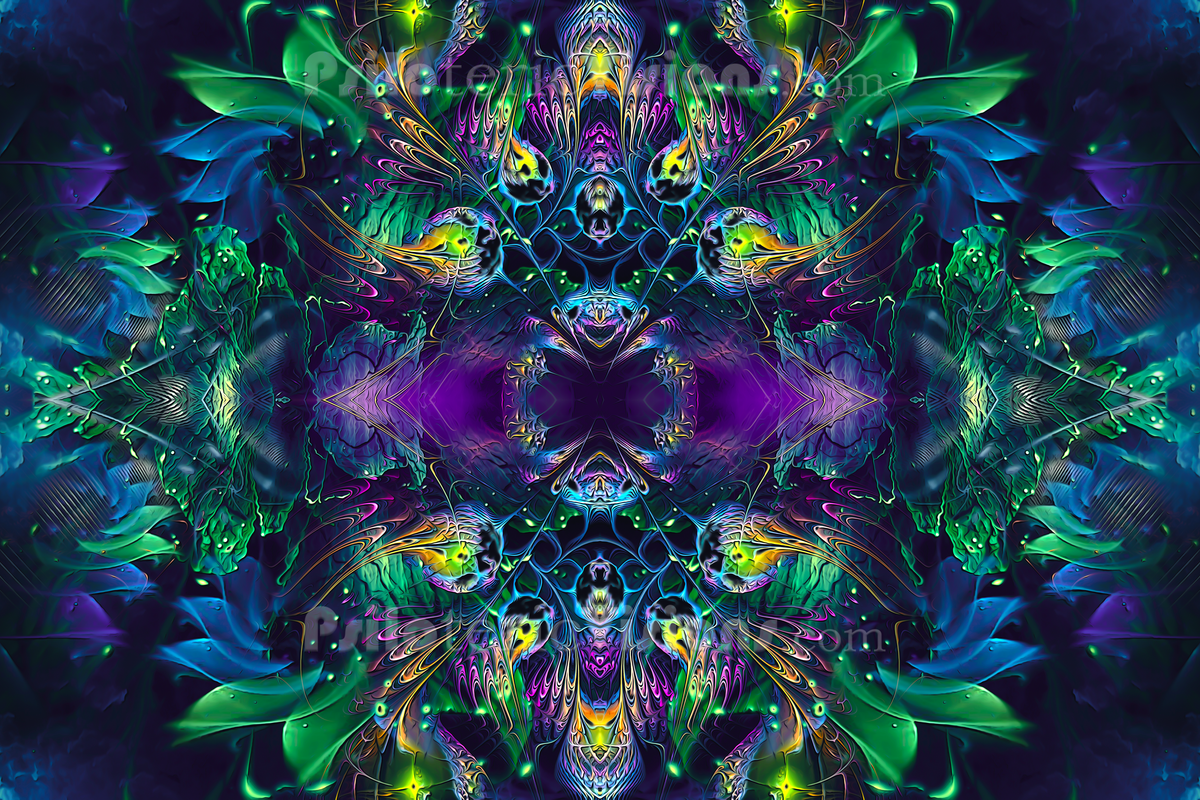 The "Awakened" Collection