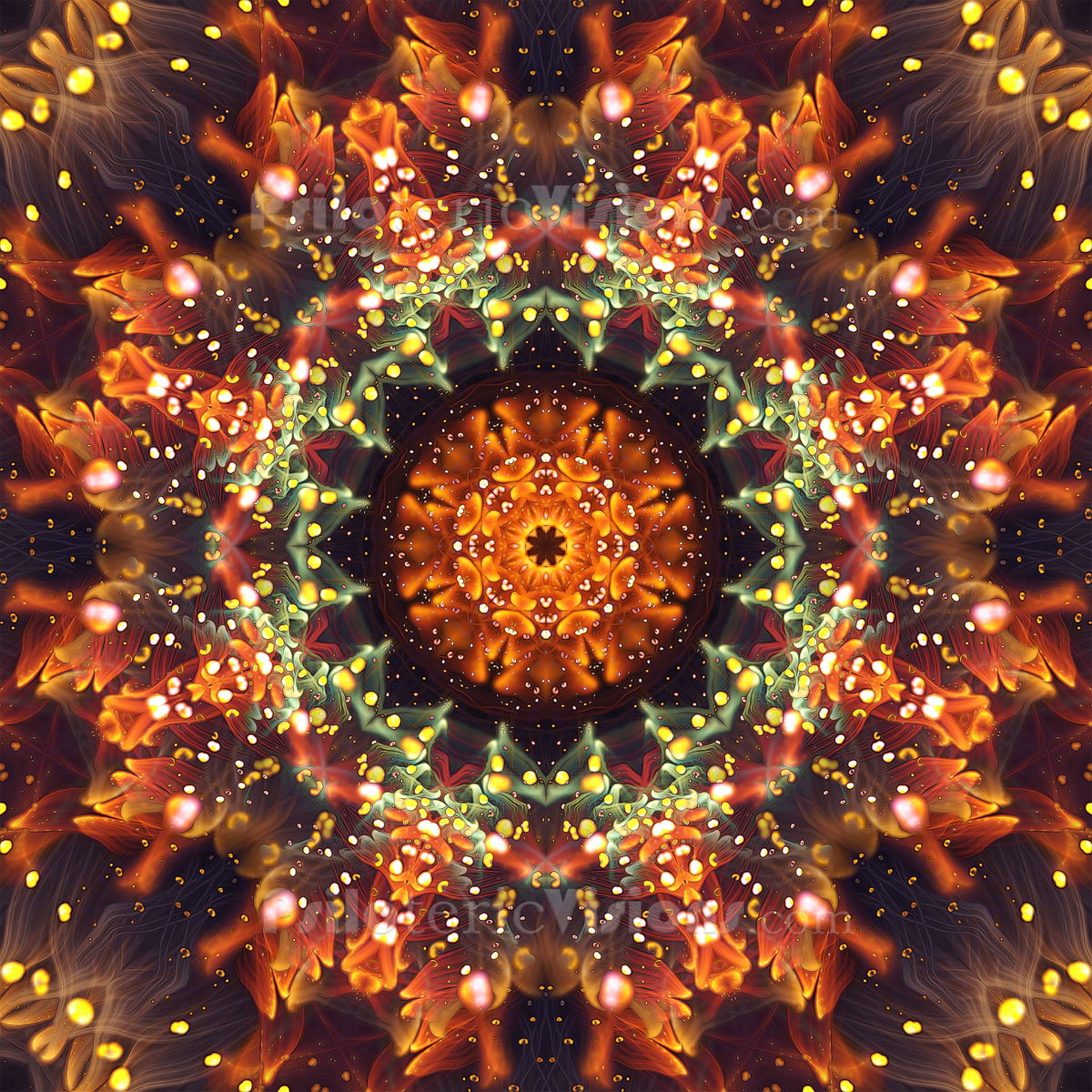 The "Autumn Bloom" Collection
