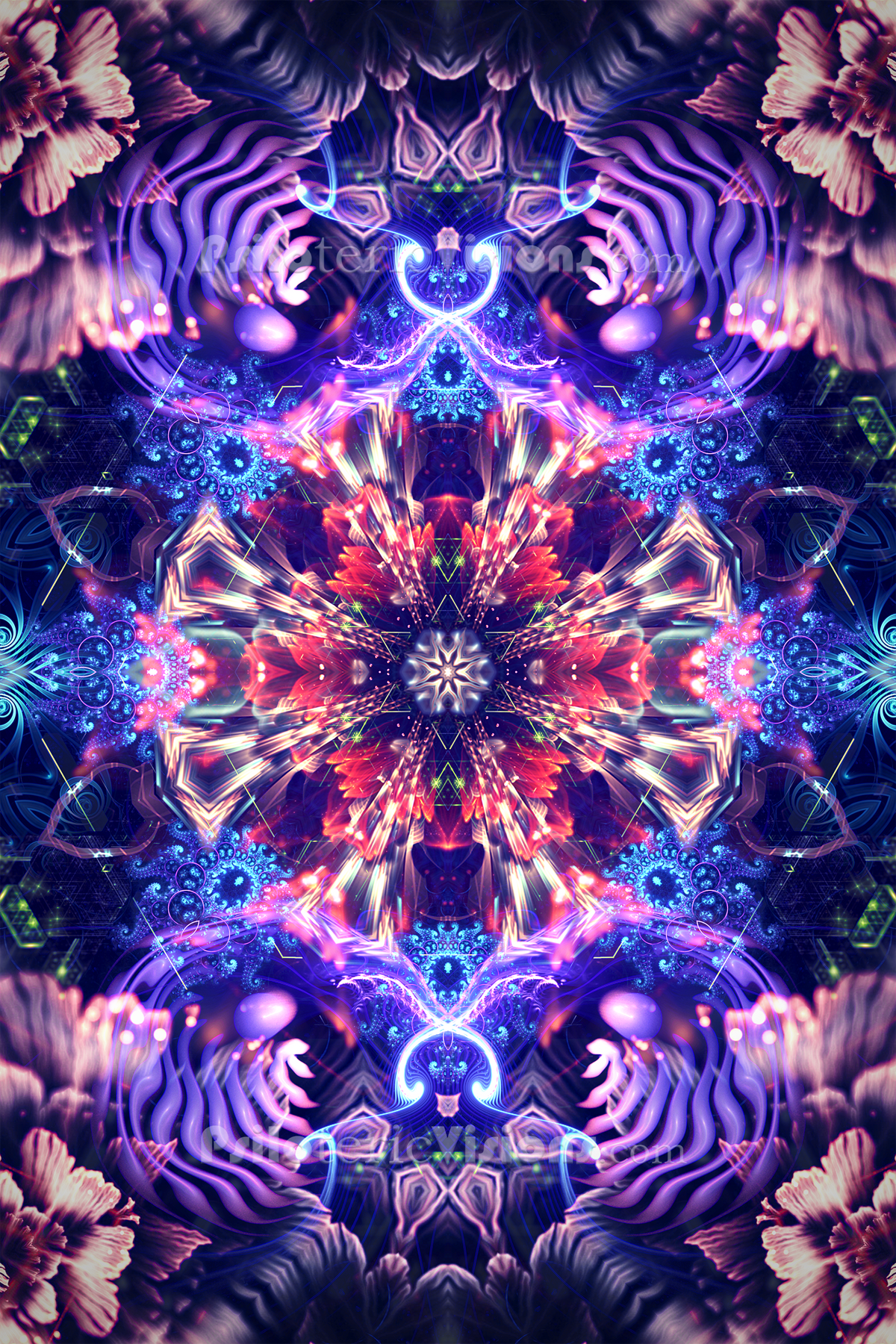 The "Flow State" Collection