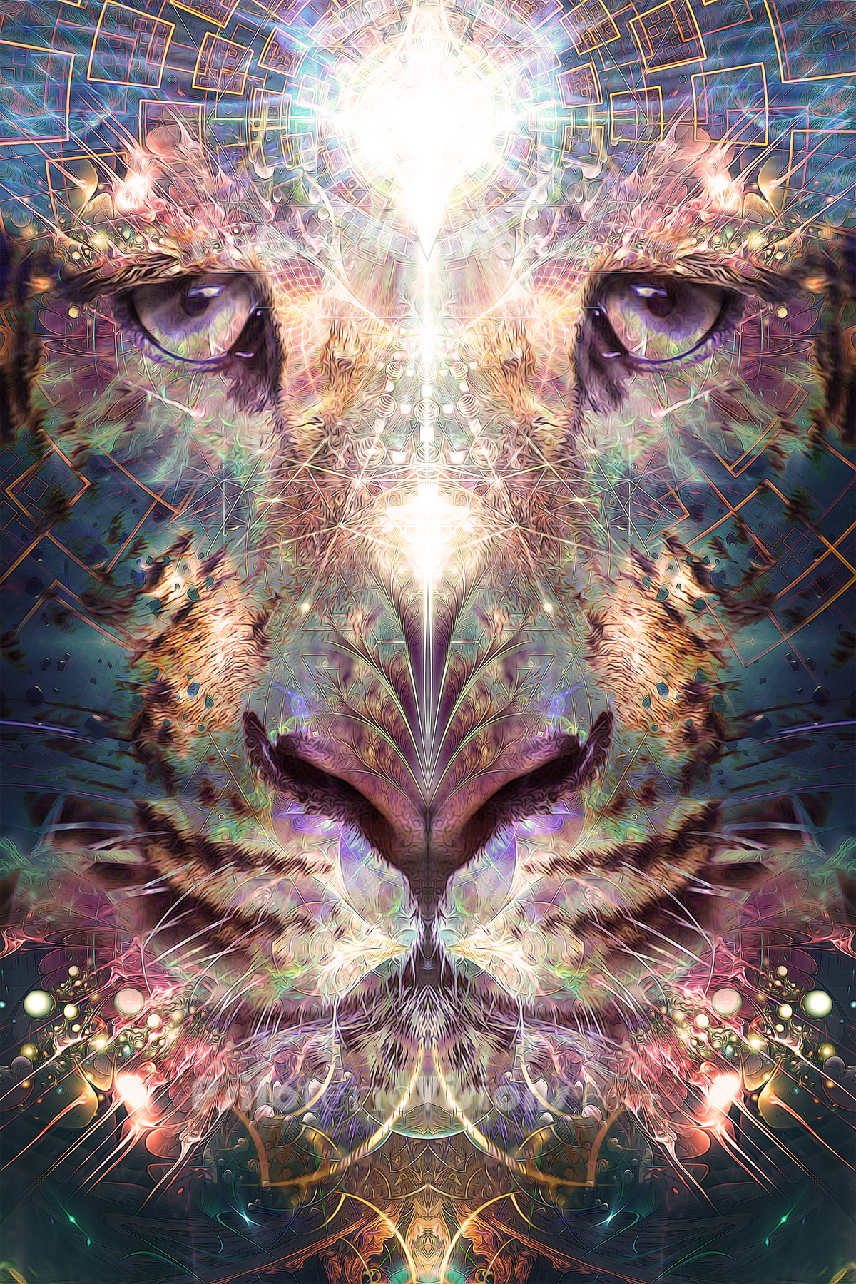 Spirit Animals