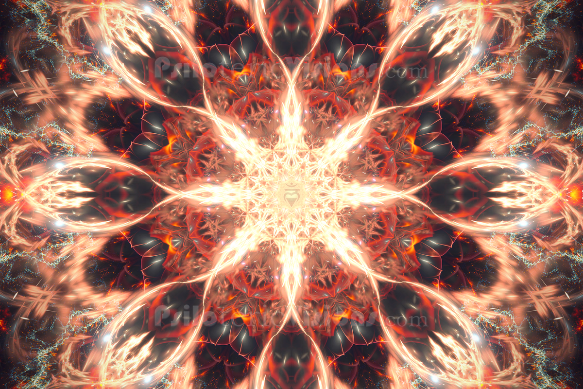 The "Muladhara" Collection
