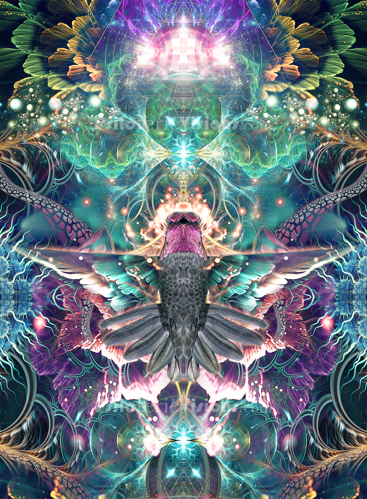 The "Nectar" Collection