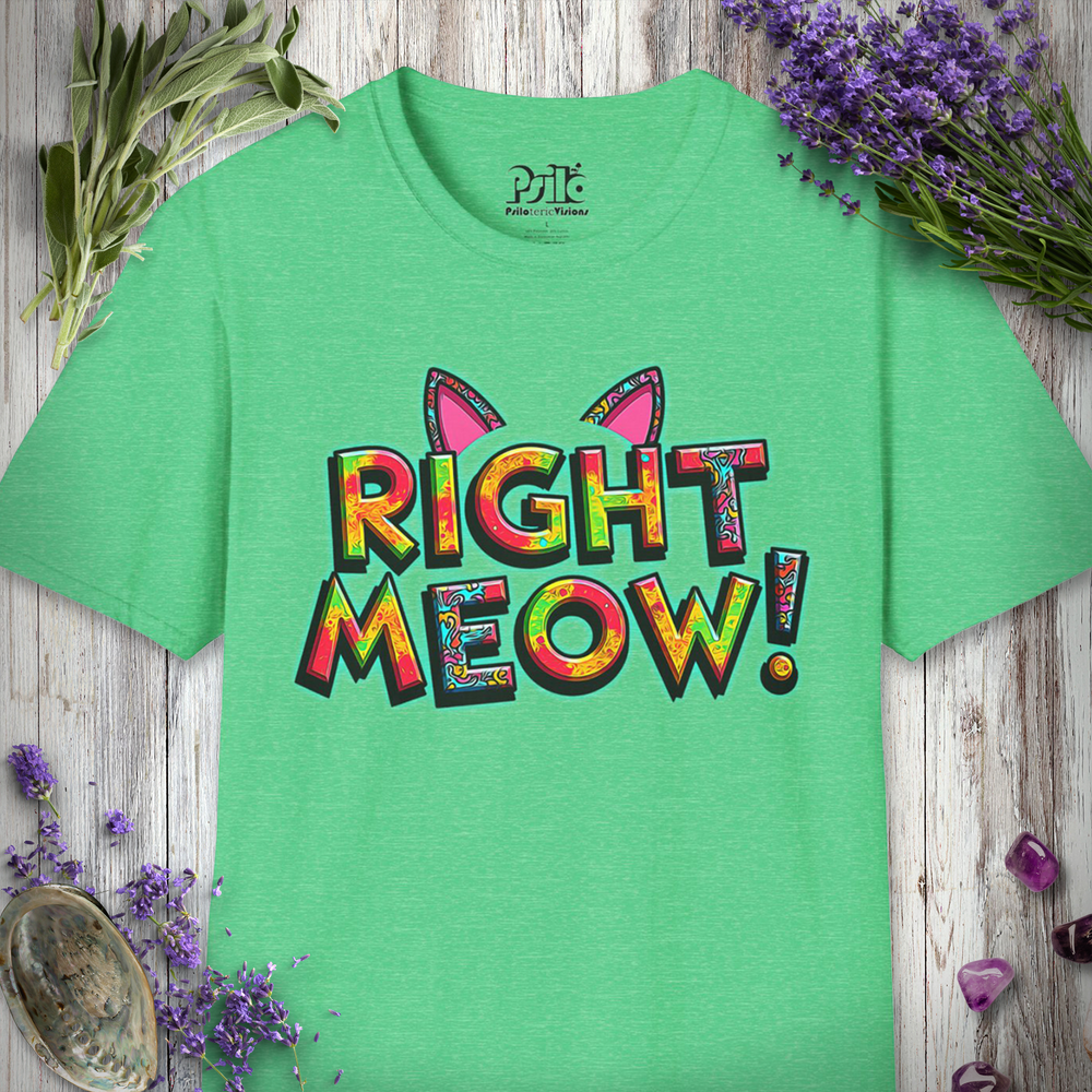 Right Meow T-SHIRT