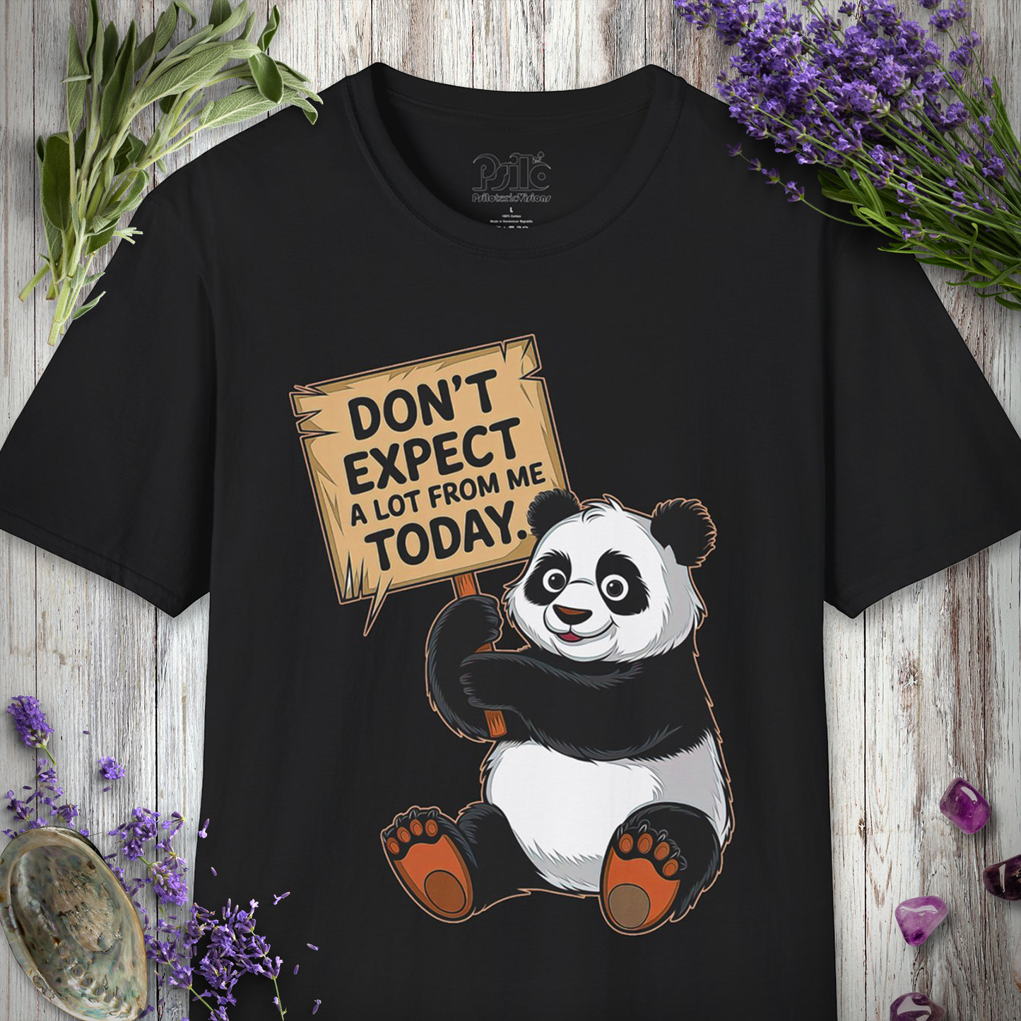 Don't Expect A Lot From Me Today T-SHIRT