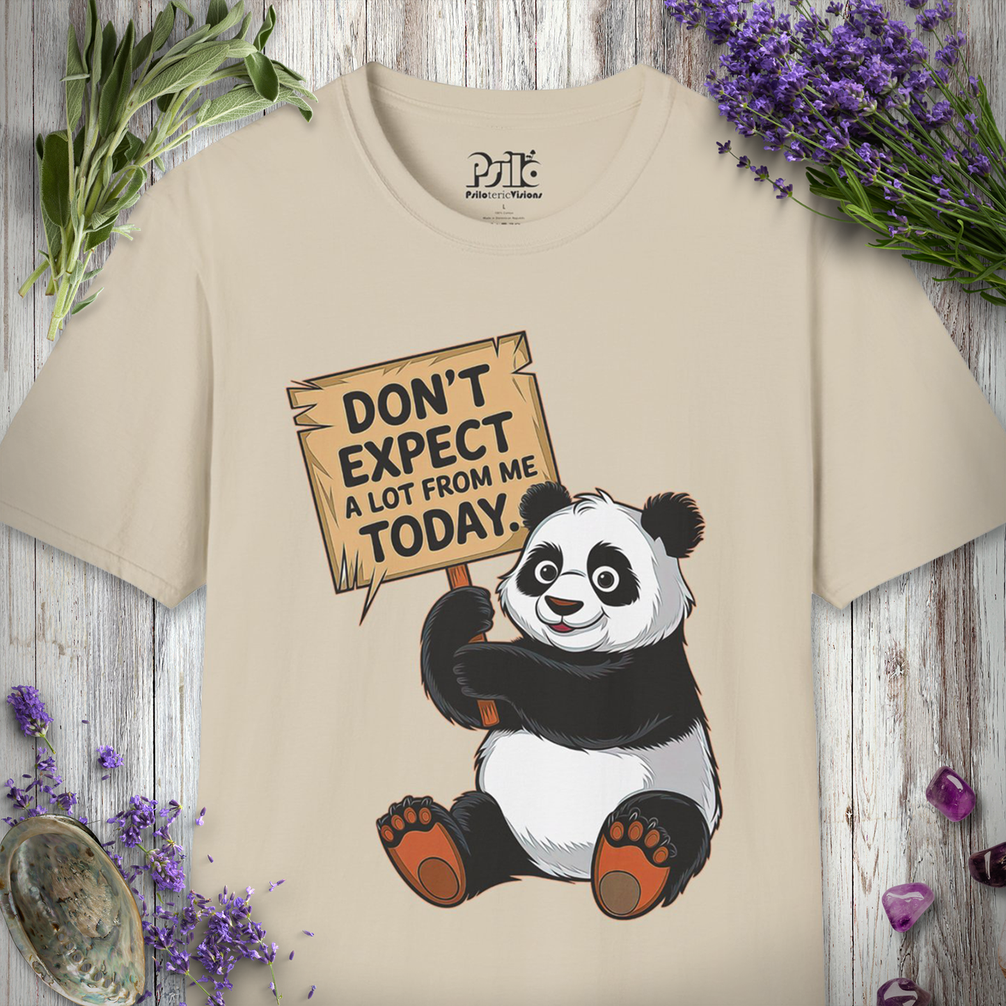 Don't Expect A Lot From Me Today T-SHIRT