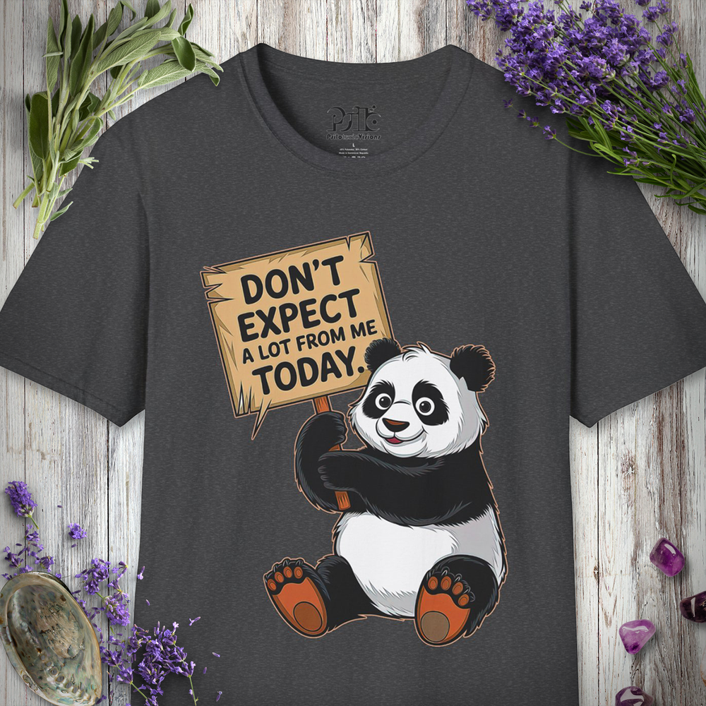 Don't Expect A Lot From Me Today T-SHIRT