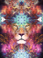 Psychedelic Lion Visionary Art