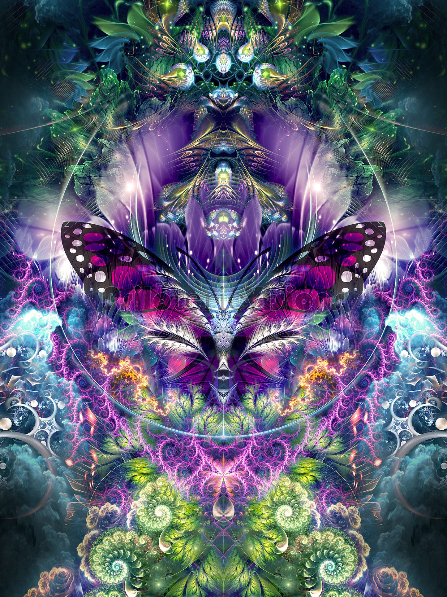 "Emergence" - Butterfly CANVAS