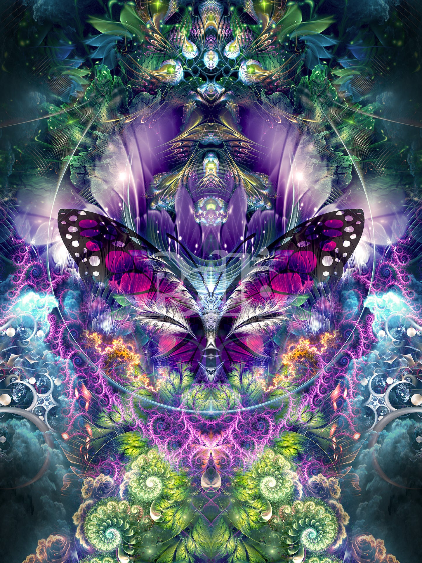"Emergence" - Butterfly POSTER