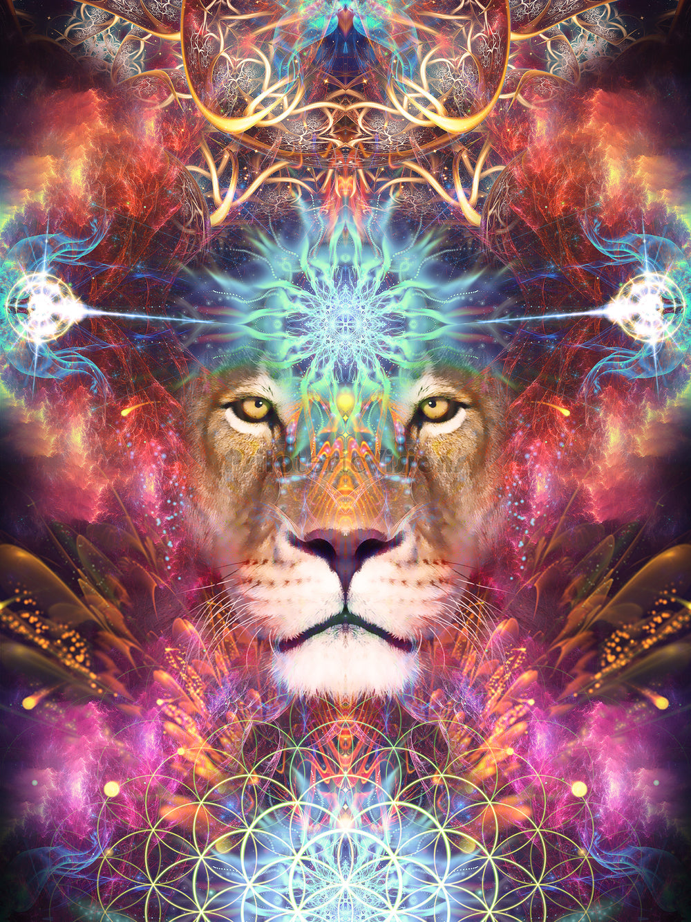 "Genesis" - Lion / Lioness CANVAS