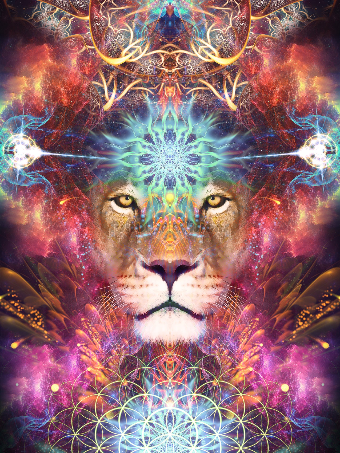 "Genesis" - Lion / Lioness CANVAS