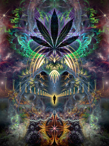 "Heightened Stroll" - TAPESTRY