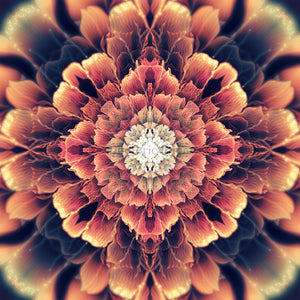 "Mandala Bloom" - Flower Mandala Canvas