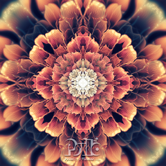 "Mandala Bloom" - TAPESTRY