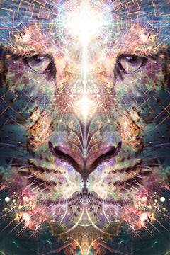 "Mastering Darkness" - TAPESTRY
