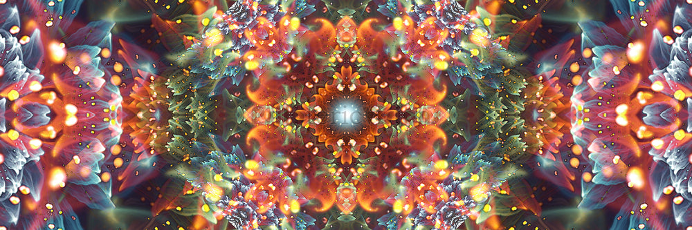 "Radiant Bliss" - Floral Mandala POSTER
