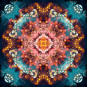 "Reaching for Light" - Floral Mandala POSTER