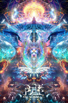 "Soul Seeker" - TAPESTRY